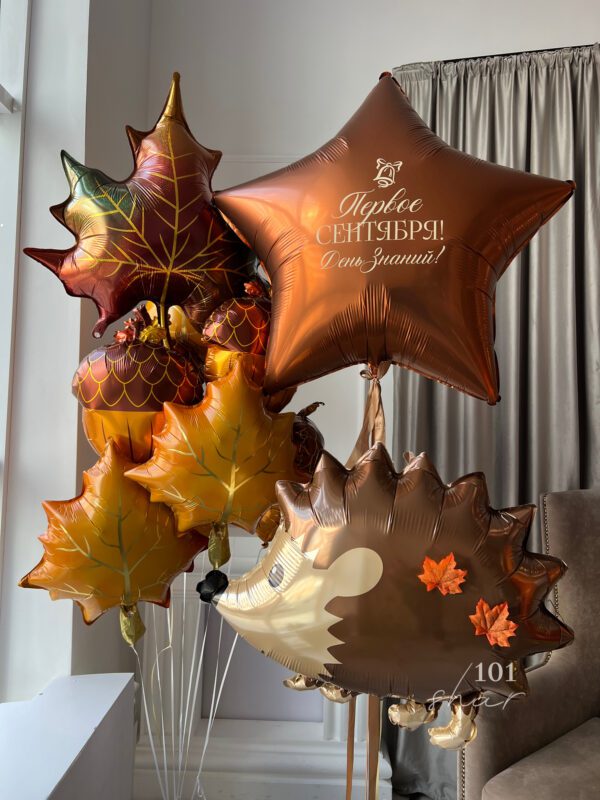 НАБОР ШАРОВ НА 1 СЕНТЯБРЯ