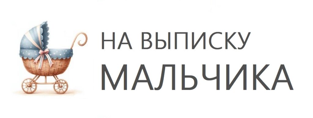 шары на выписку мальчика